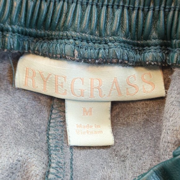 Ryegrass Faux Leather Green Pants Size Medium Elastic Waist Tapered Leg - Picture 10 of 16